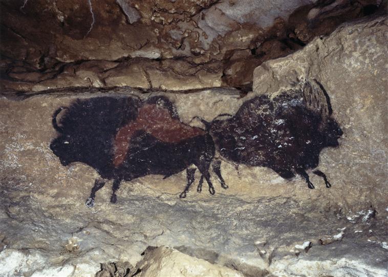 Grotte de Lascaux : la nef, paroi gauche - les bisons adossés
